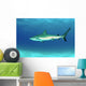 Caribbean Reef Shark Nassau Wall Decal