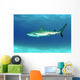 Caribbean Reef Shark Nassau Wall Decal