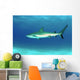 Caribbean Reef Shark Nassau Wall Decal