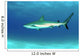 Caribbean Reef Shark Nassau Wall Decal