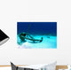 Caribbean Reef Shark Swims Wall Decal
