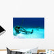 Caribbean Reef Shark Swims Wall Decal