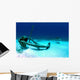 Caribbean Reef Shark Swims Wall Decal