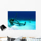 Caribbean Reef Shark Swims Wall Decal