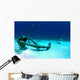 Caribbean Reef Shark Swims Wall Decal