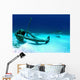 Caribbean Reef Shark Swims Wall Decal