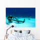 Caribbean Reef Shark Swims Wall Decal