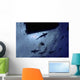 Caribbean Reef Sharks Circling Wall Decal