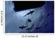 Caribbean Reef Sharks Circling Wall Decal