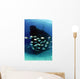 School Horse-eye Jack Fish Wall Decal