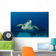 Hawksbill Sea Turtle Nassau Wall Decal