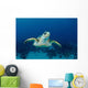 Hawksbill Sea Turtle Nassau Wall Decal