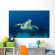 Hawksbill Sea Turtle Nassau Wall Decal