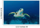 Hawksbill Sea Turtle Nassau Wall Decal