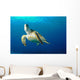 Hawksbill Sea Turtle Ascending Wall Decal