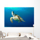 Hawksbill Sea Turtle Ascending Wall Decal