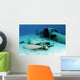 Sunken Plane from Film Wall Decal