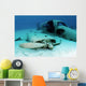 Sunken Plane from Film Wall Decal