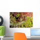 Spiny Lobster Hiding Reef Wall Decal