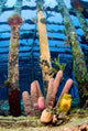 Tube Sponges Wreck Willaurie Wall Decal