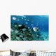 School Sergeant Major Fish Wall Decal
