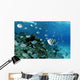 School Sergeant Major Fish Wall Decal