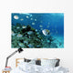 School Sergeant Major Fish Wall Decal