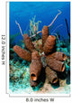 Brown Tube Sponge Cluster Wall Decal