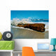 Waves Splashing over Driftwood Wall Decal