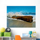 Waves Splashing over Driftwood Wall Decal