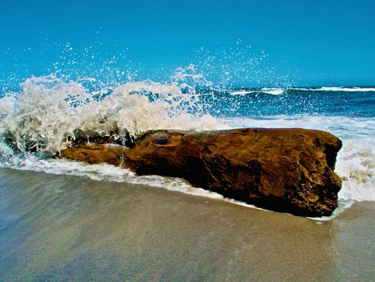 Waves Splashing over Driftwood Wall Decal