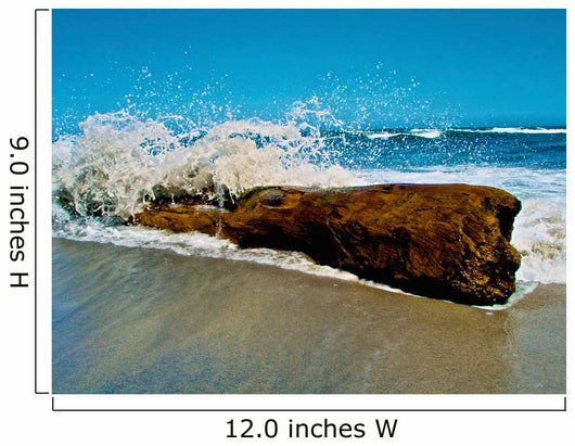 Waves Splashing over Driftwood Wall Decal