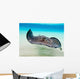 Female Southern Atlantic Stingray Wall Decal