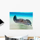 Female Southern Atlantic Stingray Wall Decal