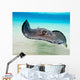 Female Southern Atlantic Stingray Wall Decal