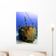 Bow Oro Verde Wreck Wall Decal