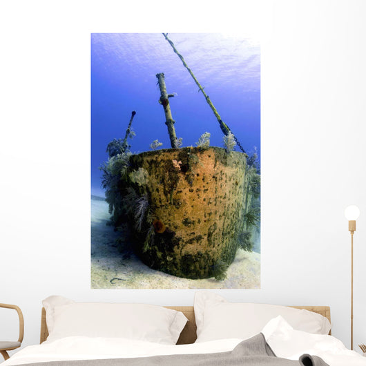 Bow Oro Verde Wreck Wall Decal