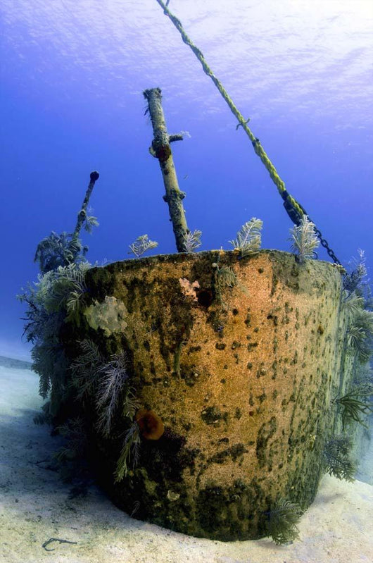 Bow Oro Verde Wreck Wall Decal