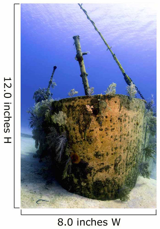 Bow Oro Verde Wreck Wall Decal