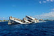 Sinking Uss Kittiwake Grand Wall Decal
