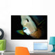 Close-up Gray Angelfish Grand Wall Decal