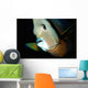 Close-up Gray Angelfish Grand Wall Decal