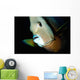 Close-up Gray Angelfish Grand Wall Decal