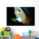 Close-up Gray Angelfish Grand Wall Decal
