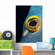 Close-up French Angelfish Eye Wall Decal