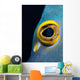 Close-up French Angelfish Eye Wall Decal
