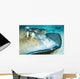 Close-up Female Southern Atlantic Wall Decal