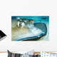 Close-up Female Southern Atlantic Wall Decal