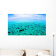 North Sound Flat Calm Wall Decal