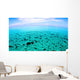 North Sound Flat Calm Wall Decal